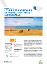 Les filières agricoles et agroalimentaires dans le Finistère : les céréales