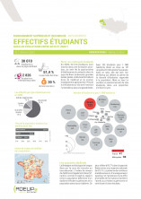 Pays de Brest. Effectifs étudiants, quelles évolutions entre 2010 et 2020 ? 