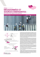 Mégadonnées et sources émergentes