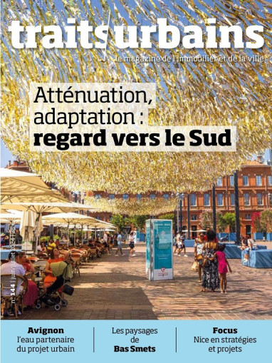 Atténuation, adaptation : regard vers le Sud