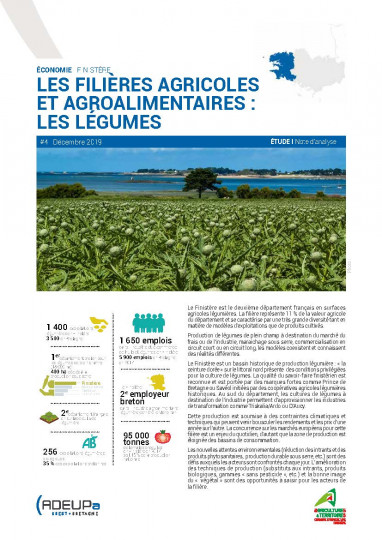 Les filières agricoles et agroalimentaires dans le Finistère : les légumes