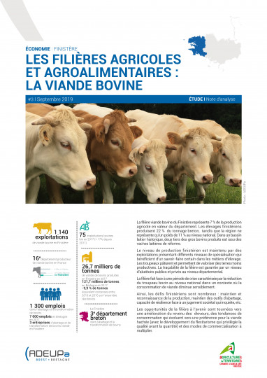 Les filières agricoles et agroalimentaires dans le Finistère : la viande bovine